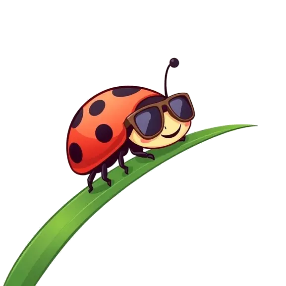 About Funnyladybug.Com